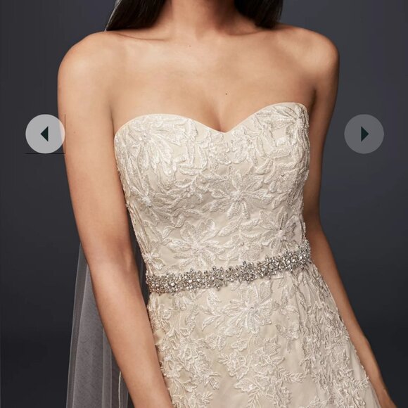 Lace over Nude A-Line Bridal Gown, so Lightweight! David's Bridal size 6 - Picture 4 of 4